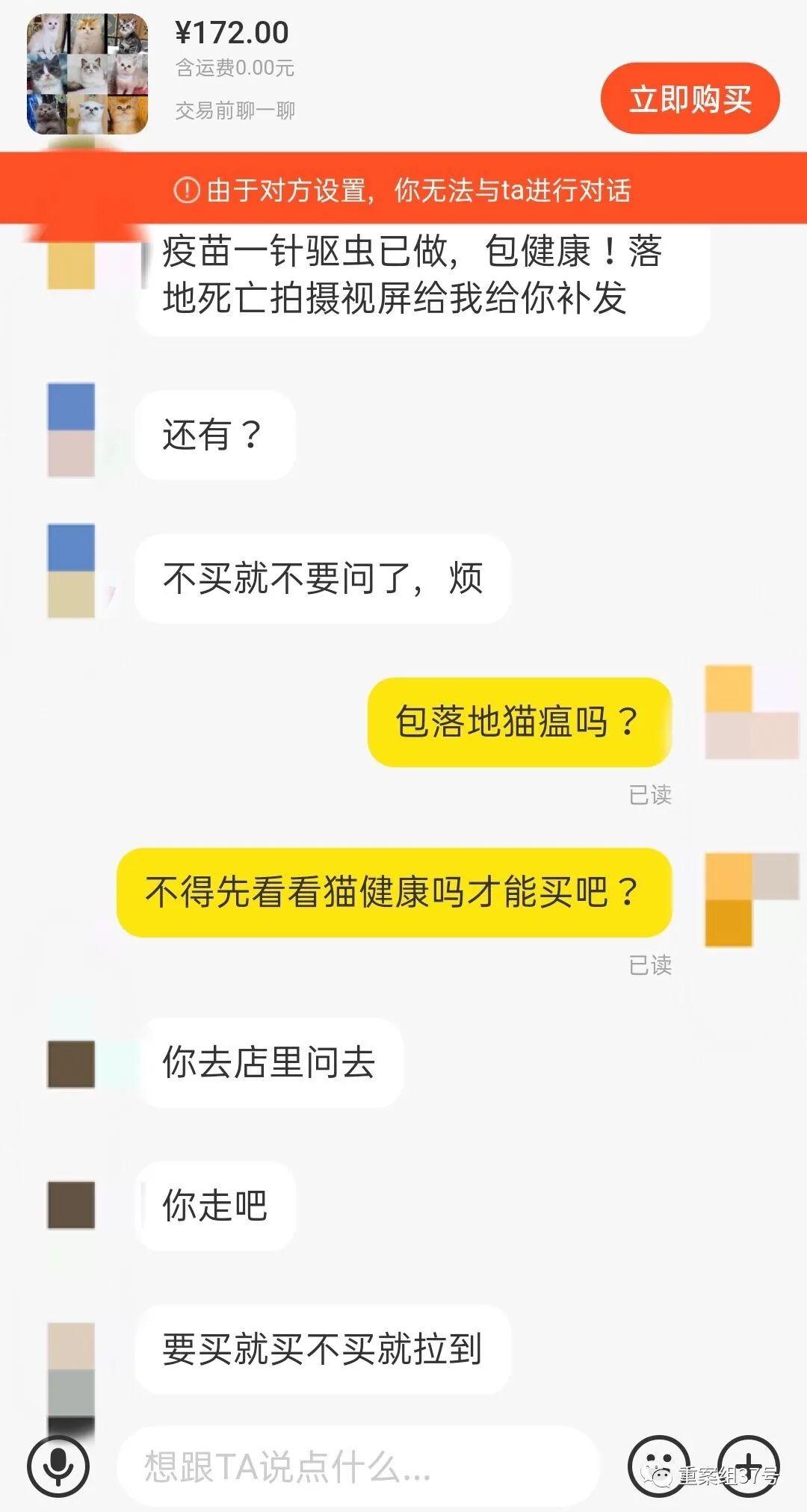 猫咪在线观看，萌宠世界与你共享时刻