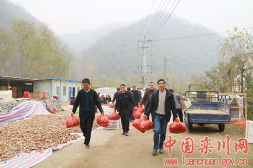 栾川县贴吧动态，自然美景与人文魅力的交汇探索