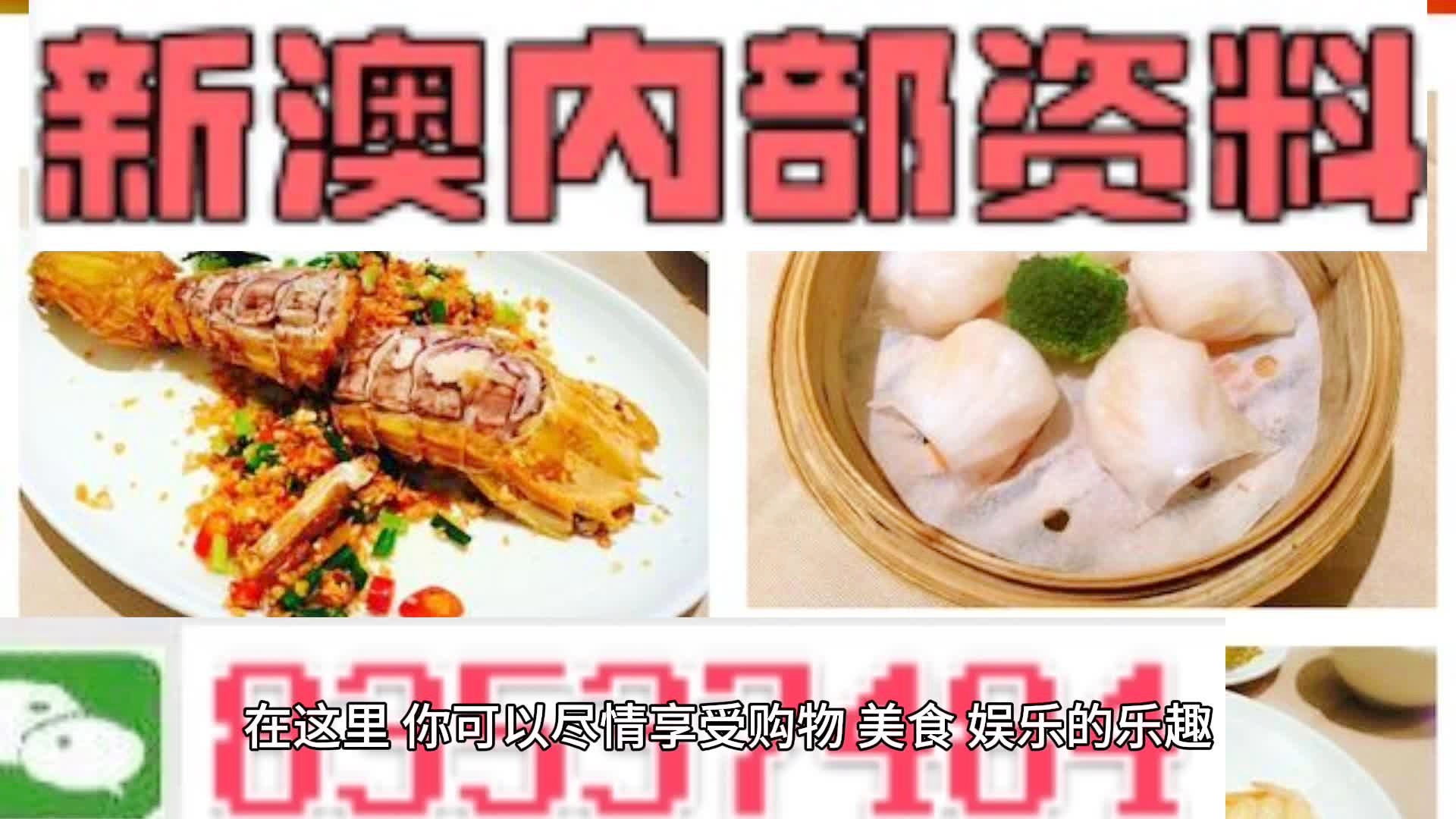 探索未来，2024新澳精准资料大全概览