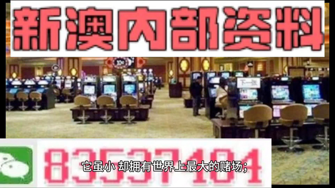 澳门正版精准免费大全，揭示背后的风险与挑战