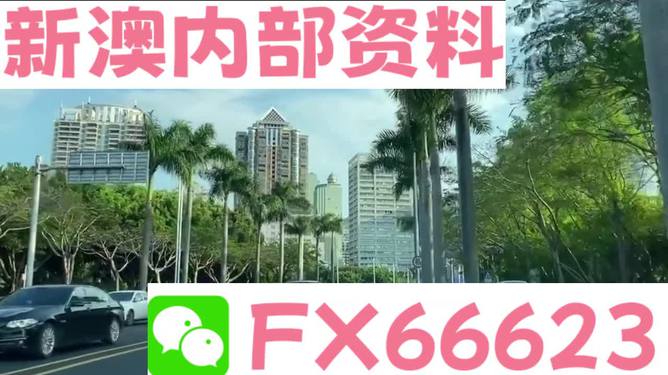 新澳2024最新资料详解