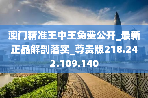 澳门精准王中王免费公开，揭示背后的风险与警示