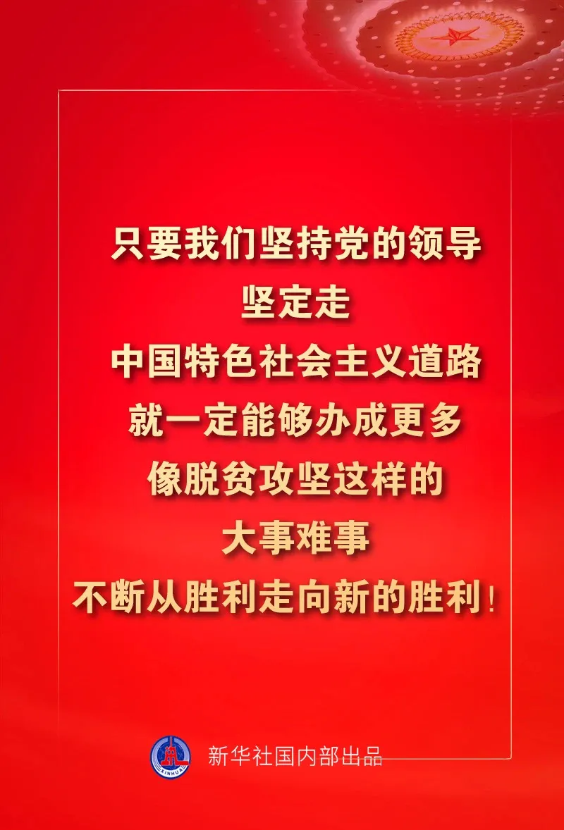 管家婆资料精准一句真言，洞悉商业管理的奥秘