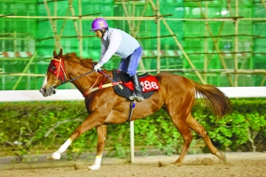 关于澳门特马今晚开奖的探讨与警示——远离赌博犯罪，珍惜美好生活