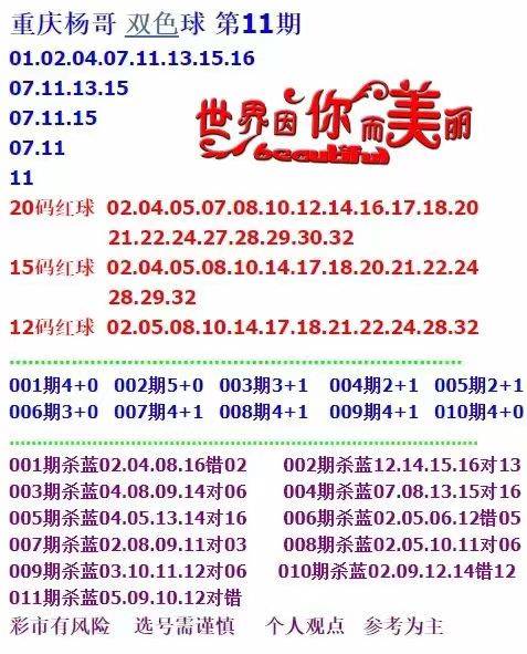 二四六期期更新资料大全，深度解析与应用指南