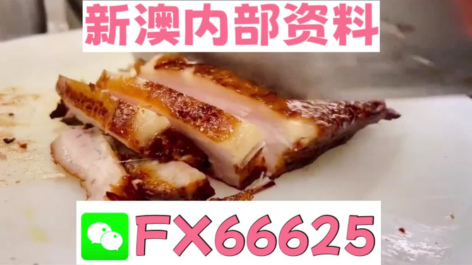 新奥长期免费资料大全，探索与挖掘