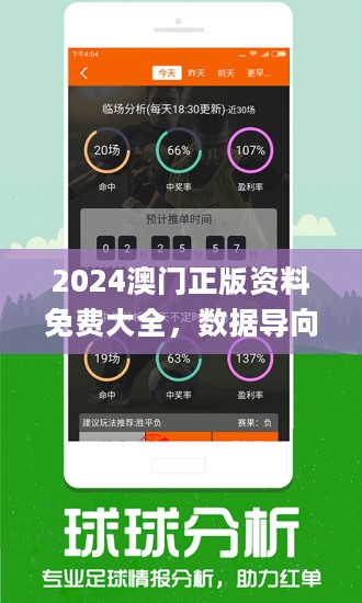 澳门三码三码精准100%，揭示背后的真相与警示