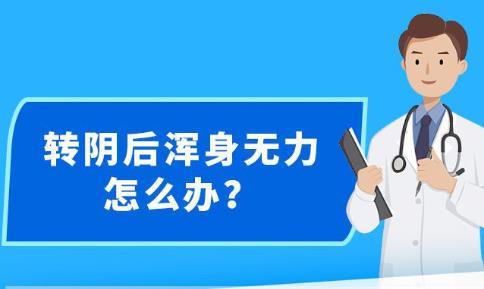 新澳精准资料，探索与解读