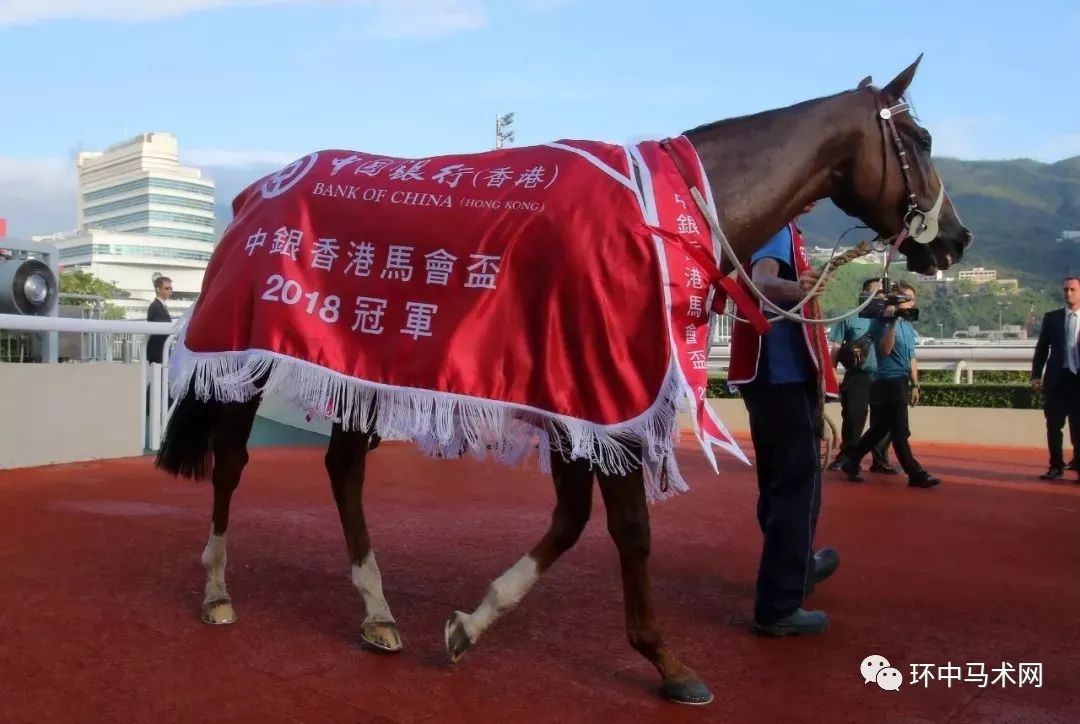 WW777766香港马会总纲诗，探寻赛马运动的魅力与诗意表达