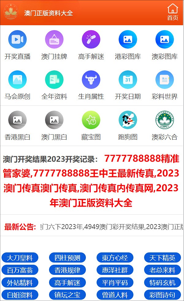 澳门资料大全与正版资料查询，犯罪与法律的对决