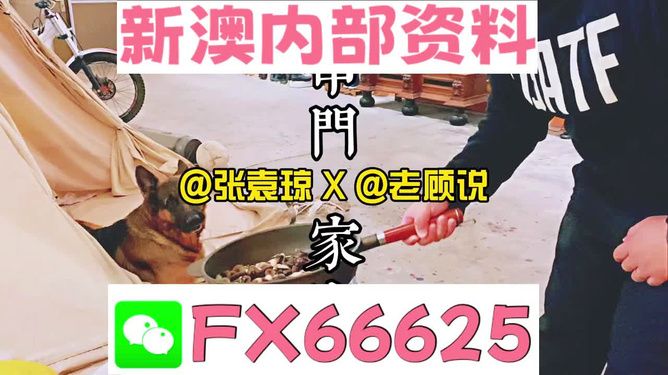 新澳门管家婆资料正版大全——探索澳门博彩文化的独特魅力