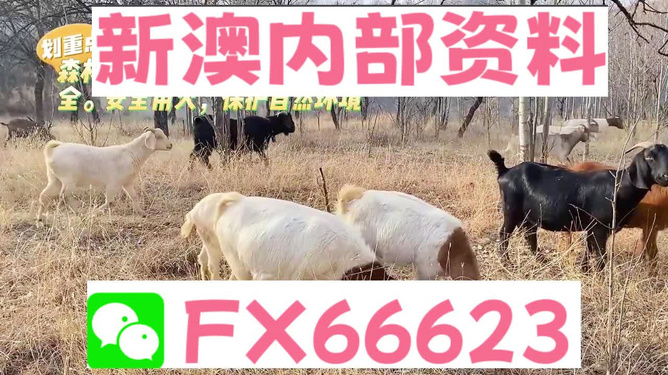 新澳四不象，探索与解读