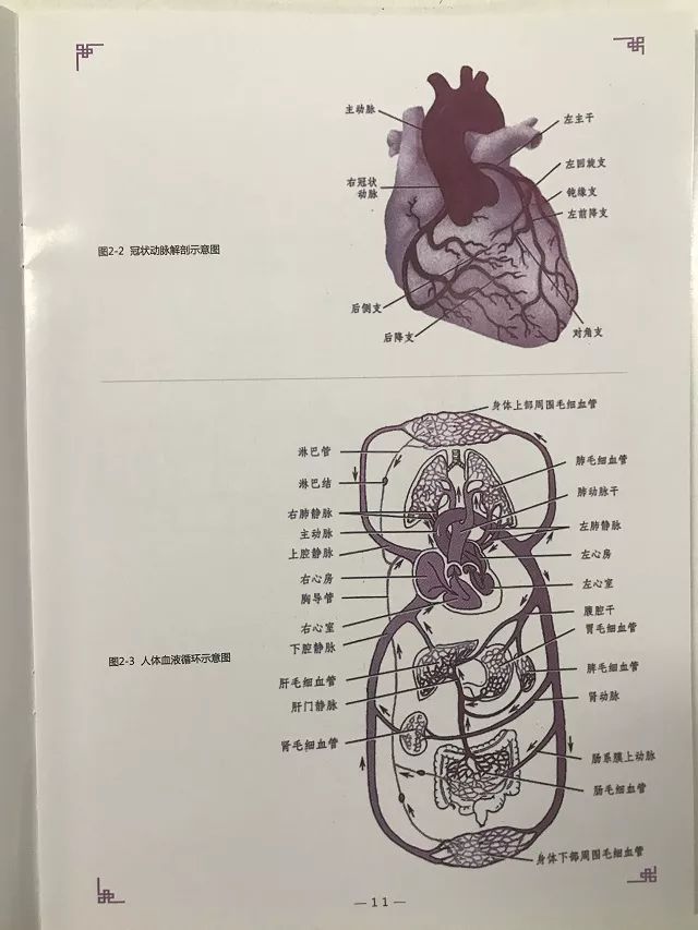 探索与发现，600图库大全免费资料图的世界