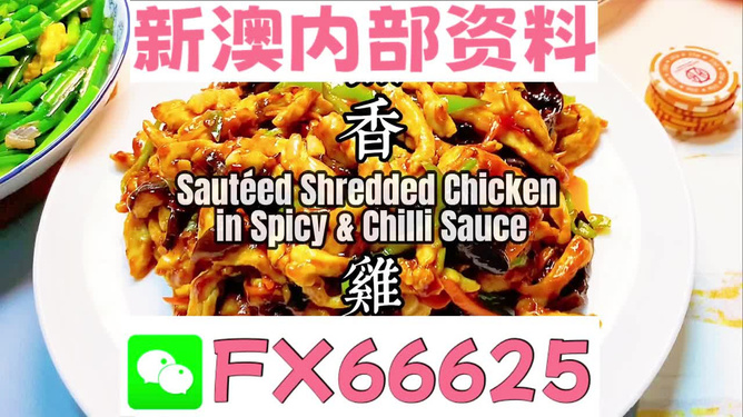 新奥天天精准资料大全，探索与解析