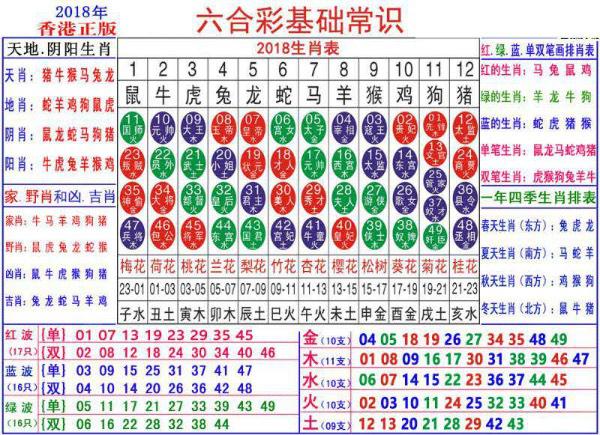 澳门正版资料大全资料生肖卡，探索生肖文化的魅力与深度