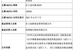 王中王彩票查询精选号码，探索彩票世界的神秘与机遇