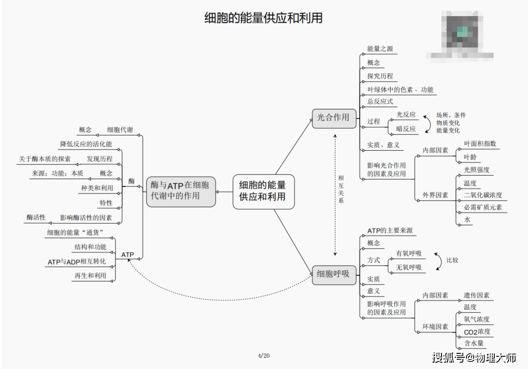 揭秘与探索，新澳三期必出一肖的奥秘（2024年预测分析）