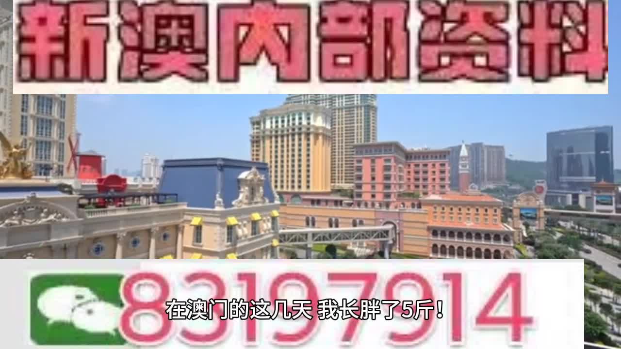 探索澳门彩票，今晚的开奖号码展望（2024年）